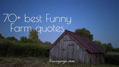 Funny Farm Quotes