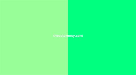 Mint Blue Vs Mint Green - What’s The Different？