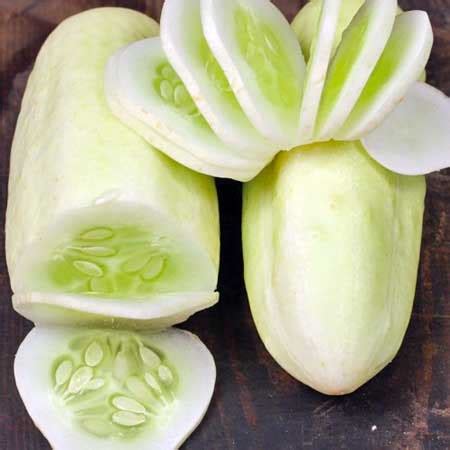 Miniature White Cucumber Seeds | Planet Natural