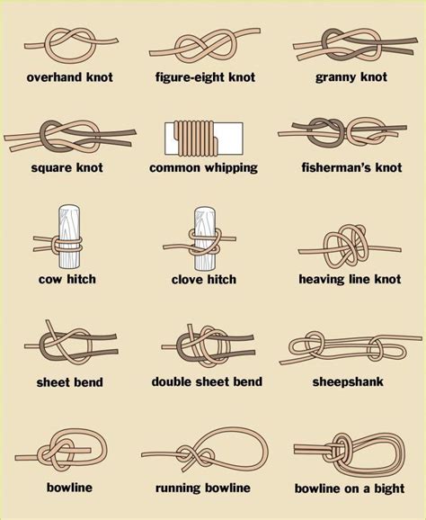 Diagram Of Knots