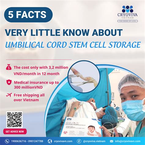 5 very little known facts about umbilical cord stem cell storage