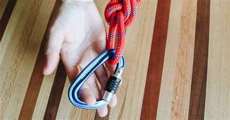 DIY Climbing Rope Dog Leash | The Honest Kitchen Blog | Rope dog leash ...