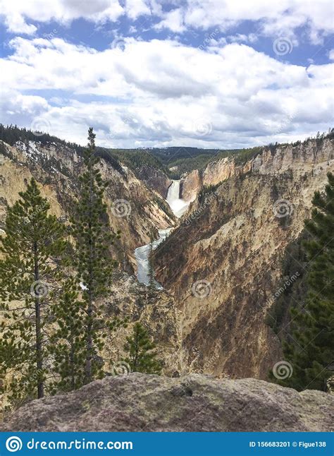 Grand Canyon of the Yellowstone National Park with Waterfall and Trees Stock Image - Image of ...