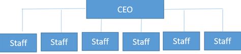 Why Has a Flatter Organizational Structure Become Popular?