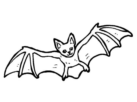 Bat Line Drawing at GetDrawings | Free download