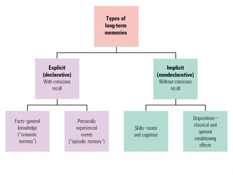 Declarative Memory Chart