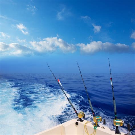 The 8 Best San Diego Party Fishing Boats & Charters – Tilt Fishing