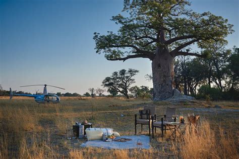 Botswana Tours | Botswana Safari | Cost | Vacation Package