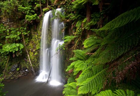 Australia: Beauchamp Falls, Otway Forrest, VIC Apollo Bay, Open Ocean, Down The River, Mountain ...