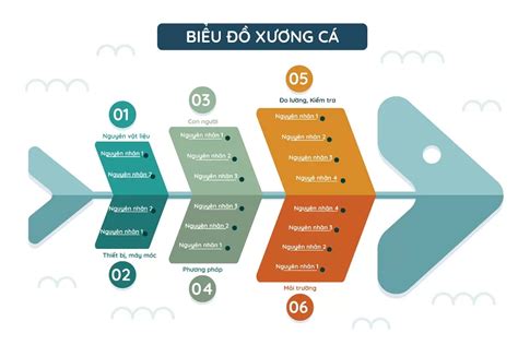 Biểu đồ xương cá (Fishbone Diagram) là gì? Lợi ích của Biểu đồ xương cá ...