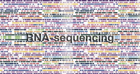 RNA Sequencing- Principle, Steps, Methods And Applications