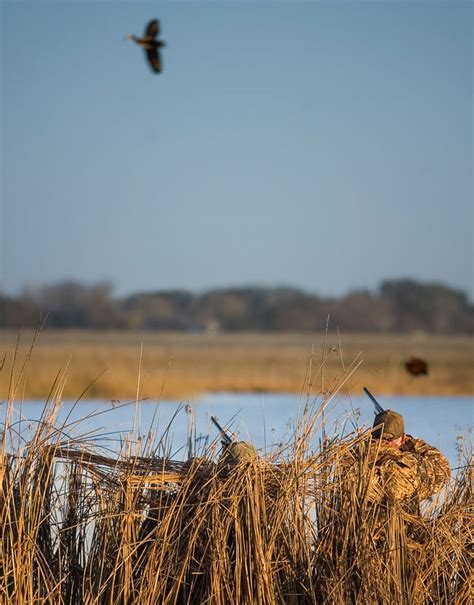 Argentina - Duck Hunting Expedition