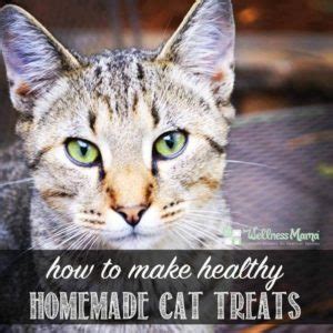 Healthy Homemade Cat Treats Recipe | Wellness Mama