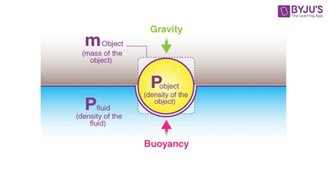 Buoyancy Force For Kids