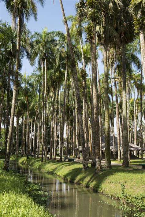 Onafhankelijkheidsplein | Paramaribo, Suriname Attractions - Lonely Planet