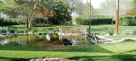 Wasit Wetland Centre Sharjah – TripHock