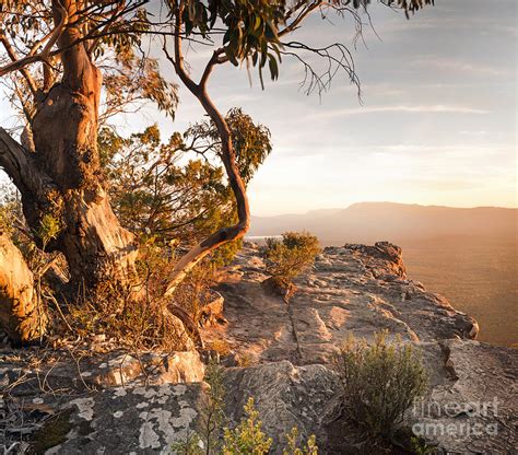 Australian Bush Landscape Photograph by THP Creative - Fine Art America