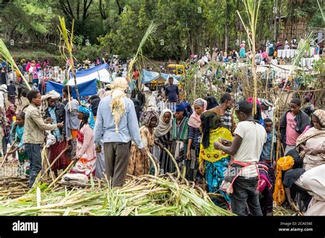 People at the local market, Wollo Province, Amhara Region, Ethiopia ...