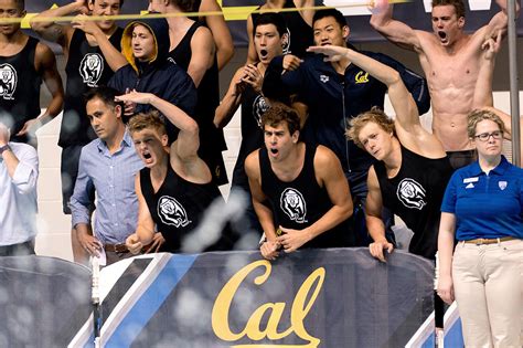 Cal in 2017 NCAA Men’s Swimming and Diving Preview - California Golden ...