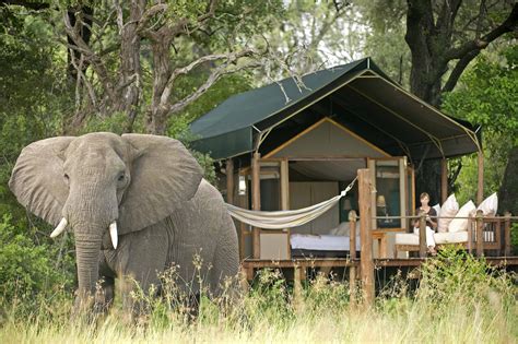 Mobile Safaris across Botswana - Journeys by Design