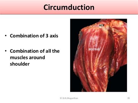 Shoulder Joint -pdf lecture notes Dr.N.Mugunthan.M.S