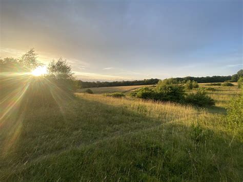 Our Commons - Banstead Commons Conservators