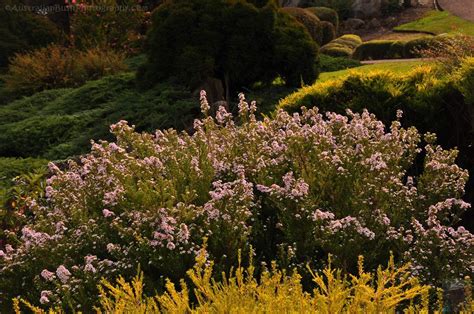 Cowra Japanese Gardens | All Over Australia