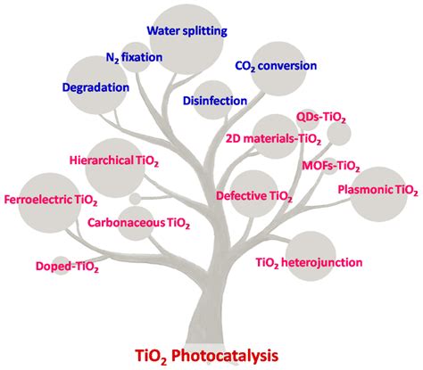 Catalysts | Free Full-Text | Editorial: Special Issue on “Emerging ...