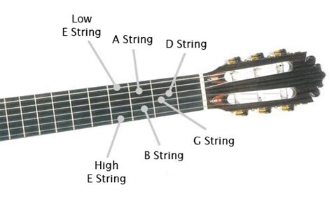 The Guitar String Names | Guitarstringsreviews.com