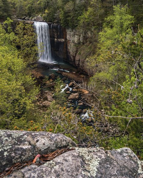 Lula Falls | Lula Lake Land Trust, Georgia www.lulalake.org/… | Brandon ...