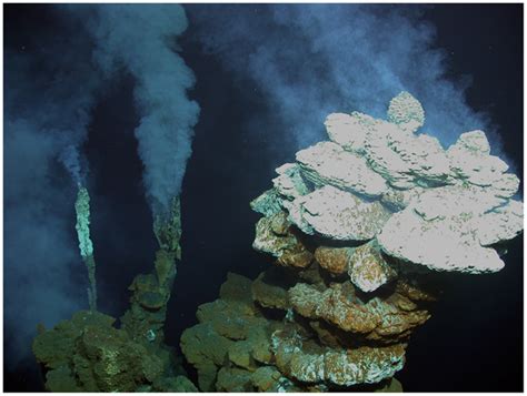 Hydrothermal Vents