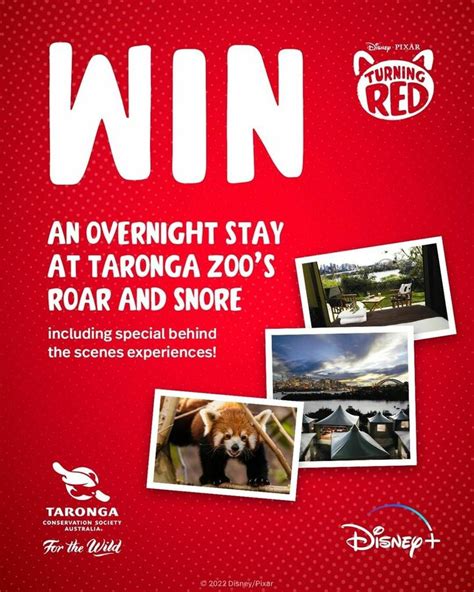 Win 1 of 6 Overnight Stays for 4 at Taronga Zoo Sydney’s Roar and Snore Worth $1,548 from Disney ...