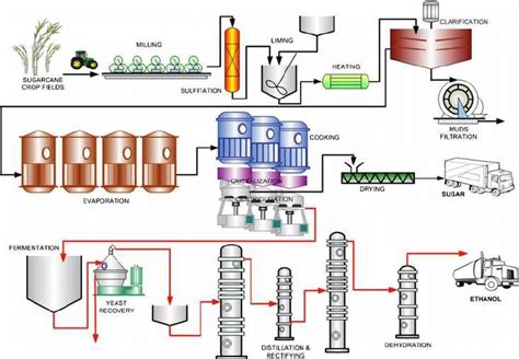 Schematic diagram of Ethanol Production | Download Scientific Diagram