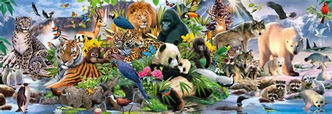 NEW Schmidt Jigsaw Puzzle 1000 Pieces Tiles "Colorful Animal Kingdom ...