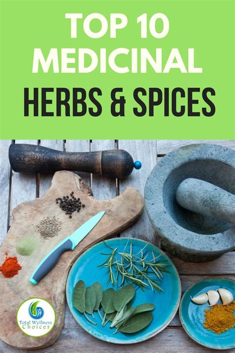 Discover top 10 medicinal herbs and spices for health. You can harness their healing properties ...