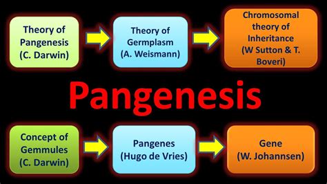 #PangenesisTheory#Natureisultimate#Darwin#1868#Gemmules#Pangene#Gene# ...