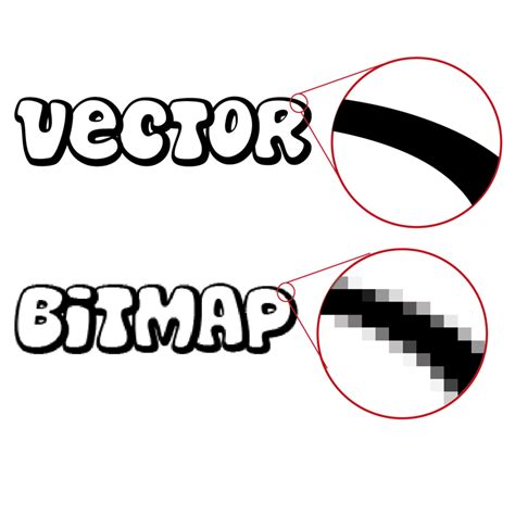 Bitmap and Vector Graphics | 1.2K plays | Quizizz