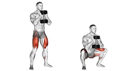 How To Do The Goblet Squat For Lower Body Strength And Muscle | Member Login Area | Tom Venuto’s ...