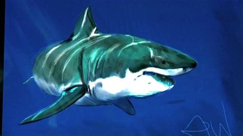 Great white Shark drawing - YouTube