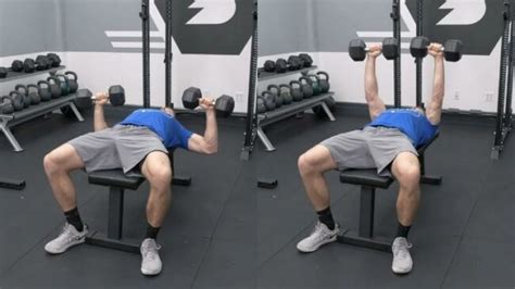 How to Do the Dumbbell Bench Press — Variations, Alternatives, Benefits, and More | BarBend