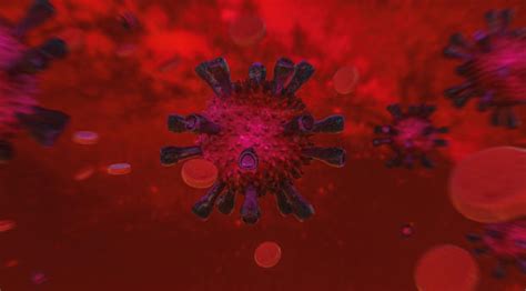 1920x1280 Virus Covid 19 1920x1280 Resolution Wallpaper, HD Artist 4K Wallpapers, Images, Photos ...