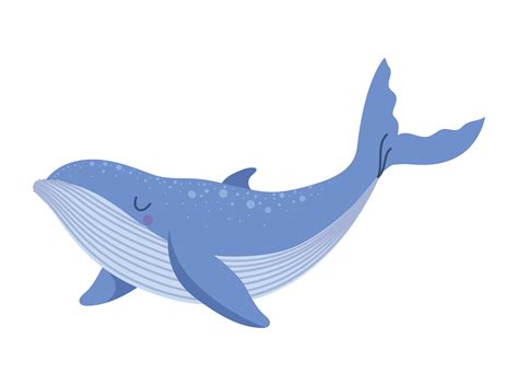 Blue Whale Vector Art, Icons, and Graphics for Free Download