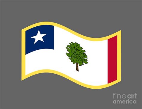 Mississippi Secession Flag Digital Art by Frederick Holiday