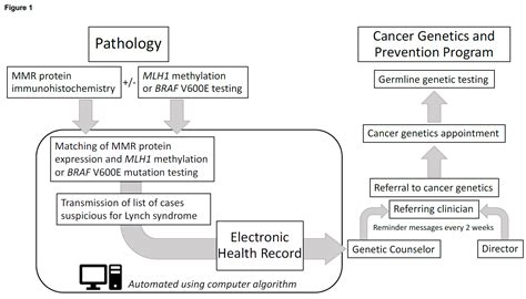 Systems approach to enhance Lynch syndrome diagnosis through tumour ...