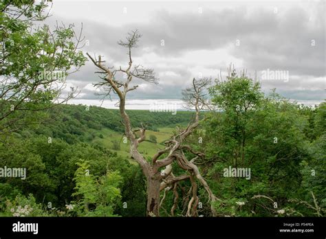 north yorkshire moors Stock Photo - Alamy