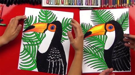 How To Draw A Realistic Toucan