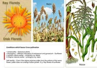 Pollination in plants | PPT