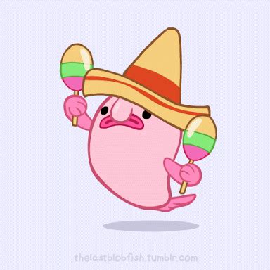 Pin by Talles Garcia on ANIMATION | Blobfish, Fish gif, Cute animals