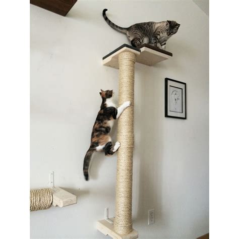 10 Best Cat Climbing Poles to Keep Your Kitty Active and Entertained at ...