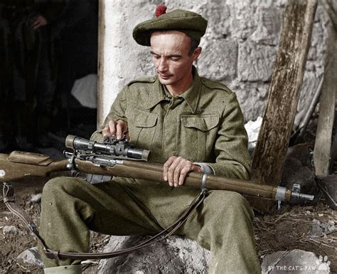 WW2 Sniper Lance Corporal A.P. Proctor cleaning his rifle, Italy 1943 ...